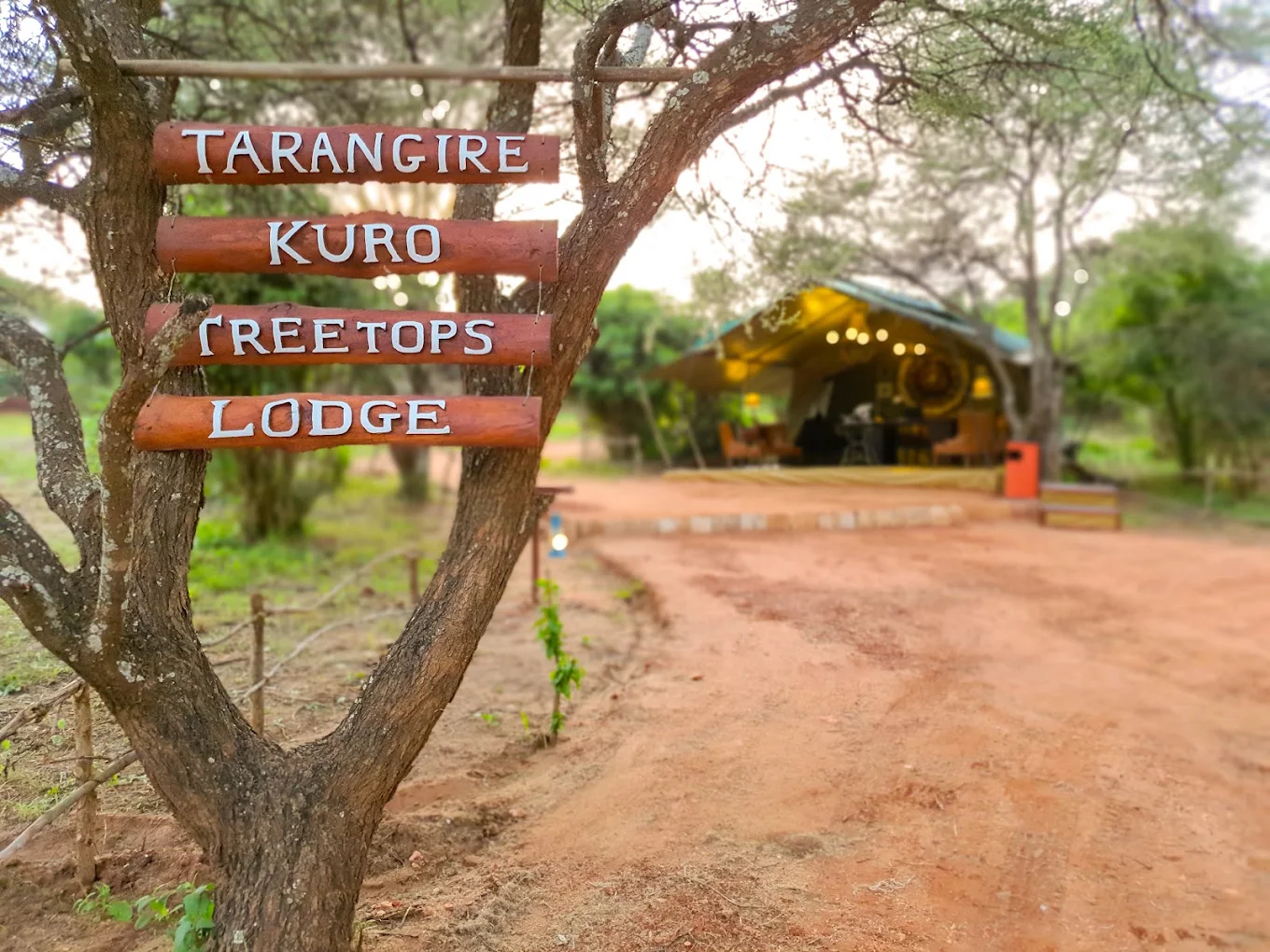 Tarangire Kuro Treetops Lodge