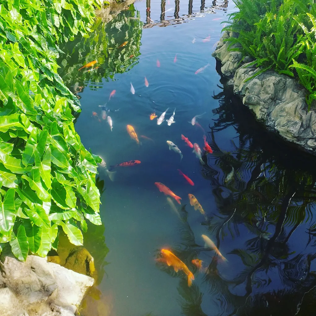 Malaika Beach Resort