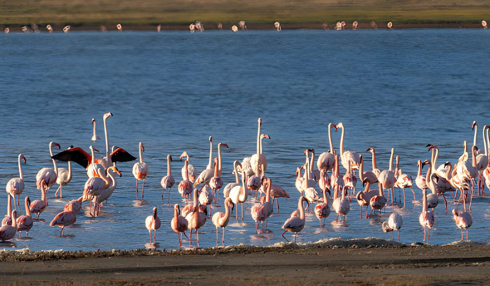 Lake Natron