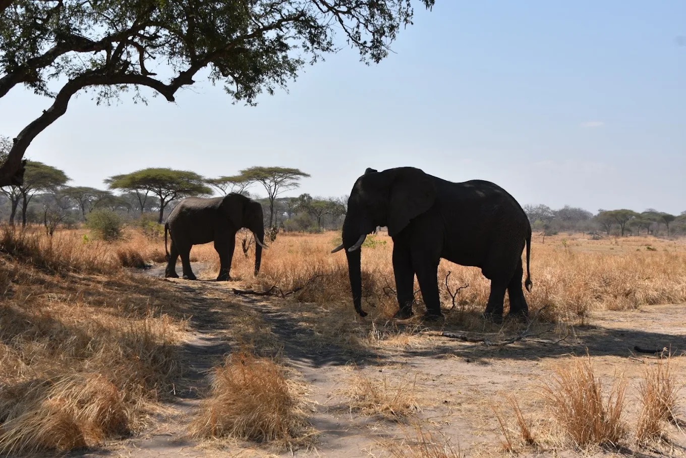 UNESCO World Heritage Sites of Tanzania