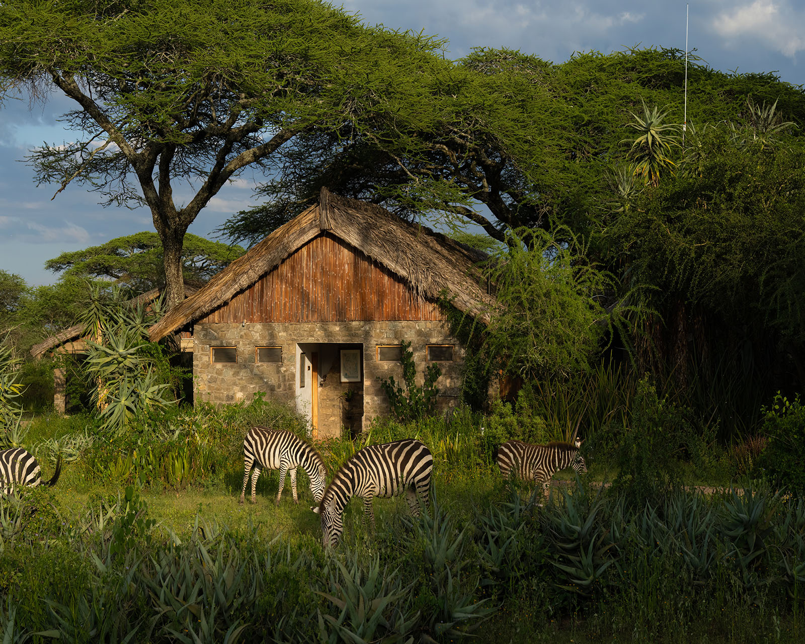 Ndutu Safari Lodge
