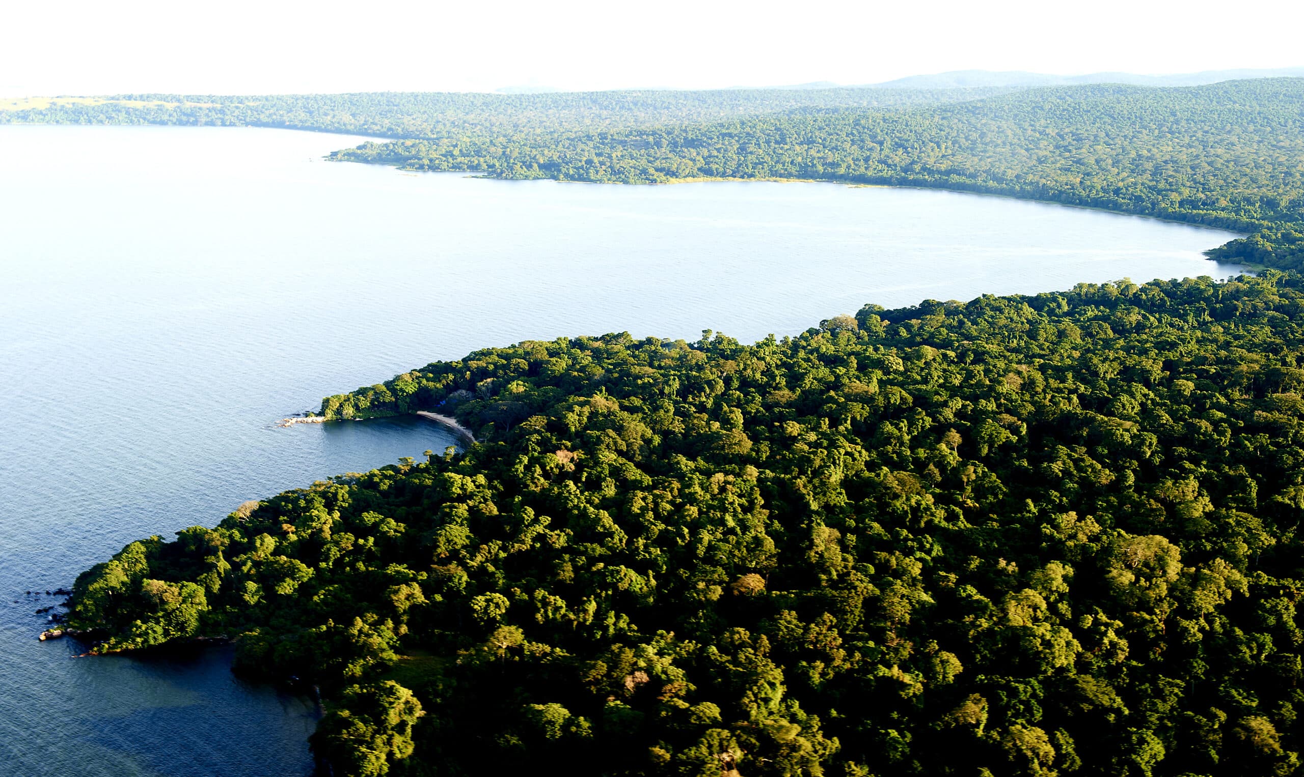 Rubondo Island Bandas