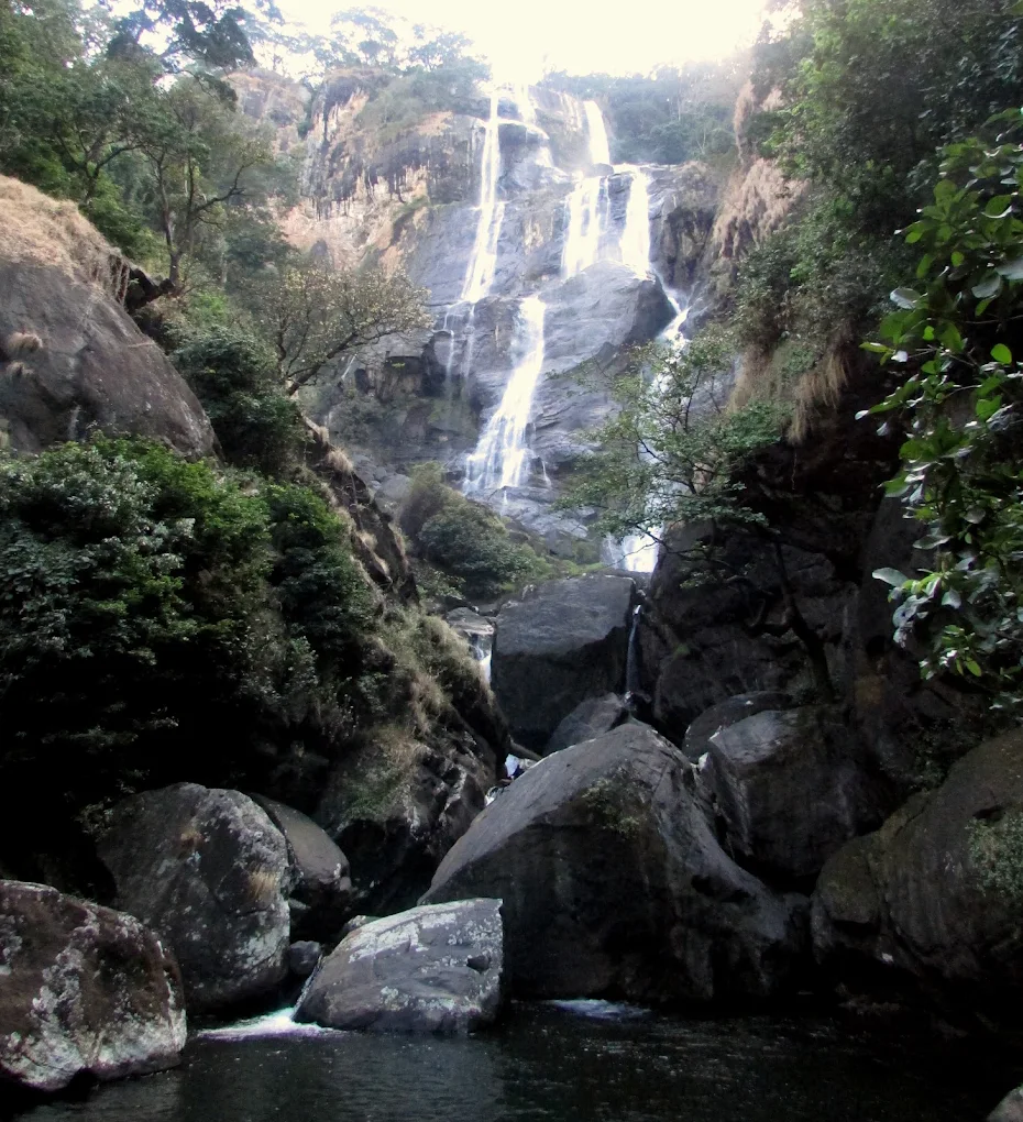 The Udzungwa Forest Tented Camp