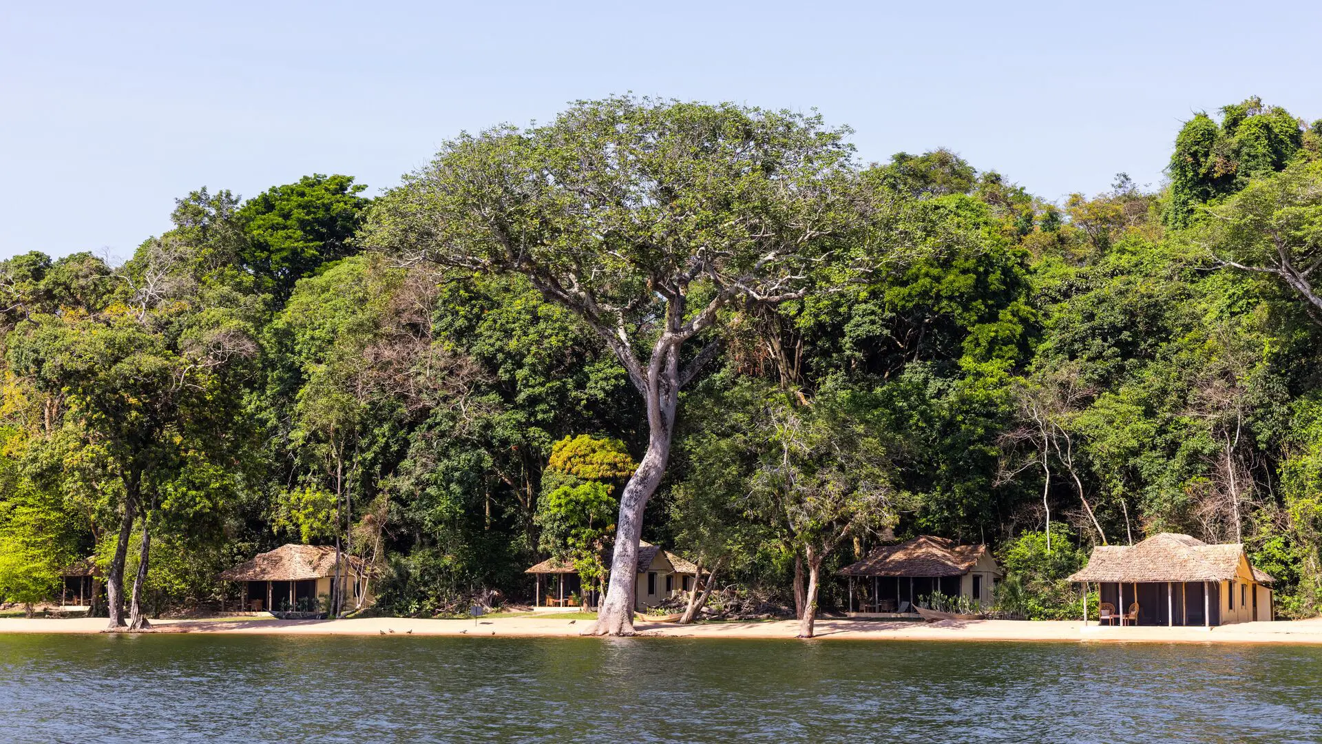 Rubondo Island Bandas