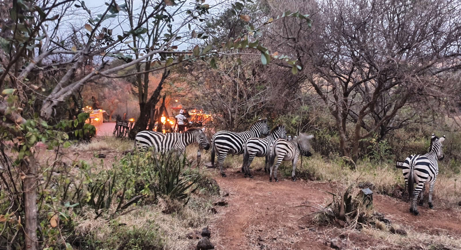 Mbalageti Tented Camp
