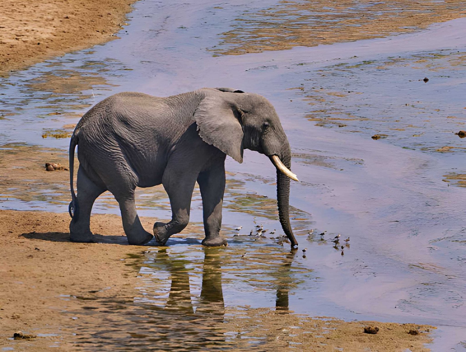 Tarangire National Park